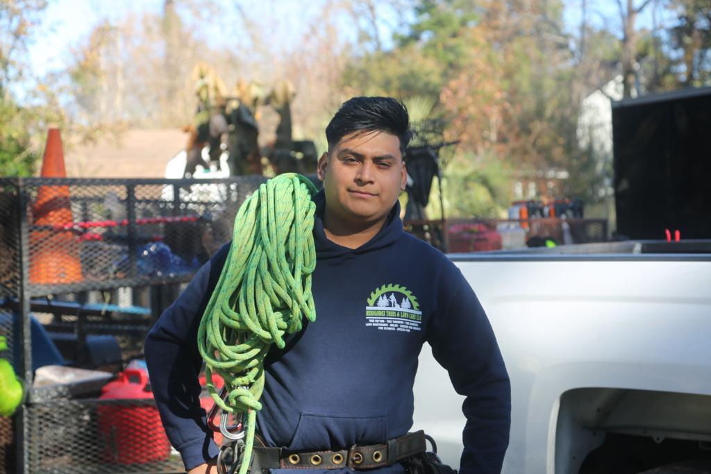 Hernandez Trees & Lawn Care LLC Image