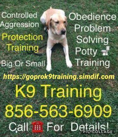 Aaa Pro K9 Trainer Aaa