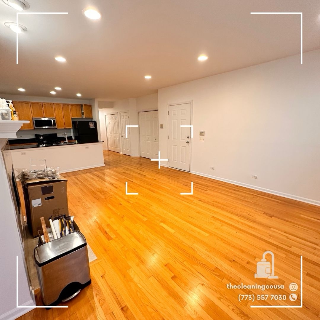 Deep Cleaners Chicago Image