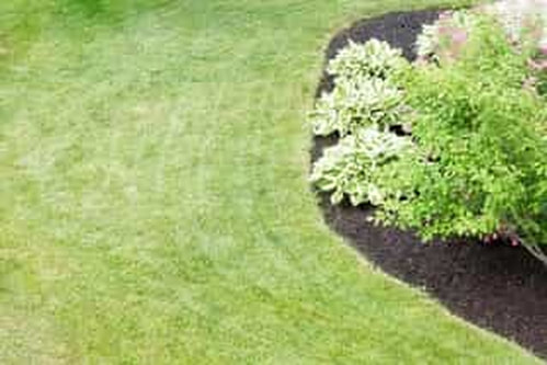 Grand Junction Landscaping Image