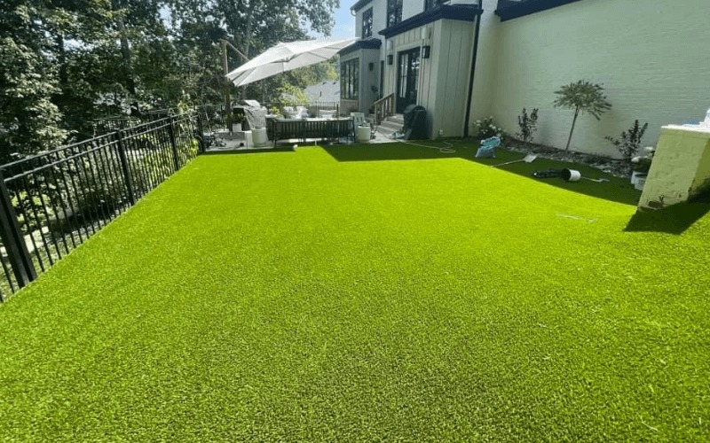 EternaTurf Louisville Image