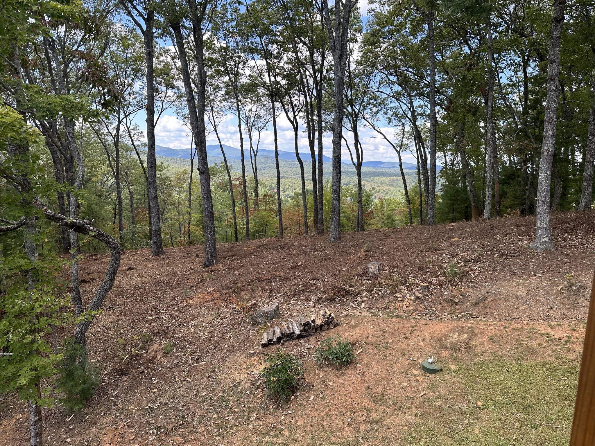 Thomas Tree Service And Lawn Care LLC Image