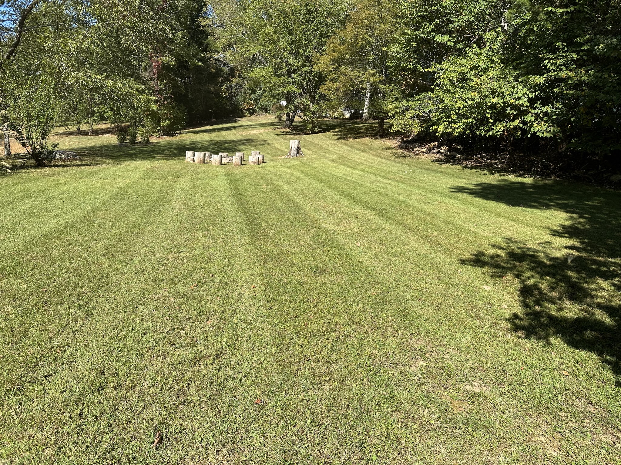 Thomas Tree Service And Lawn Care LLC Image