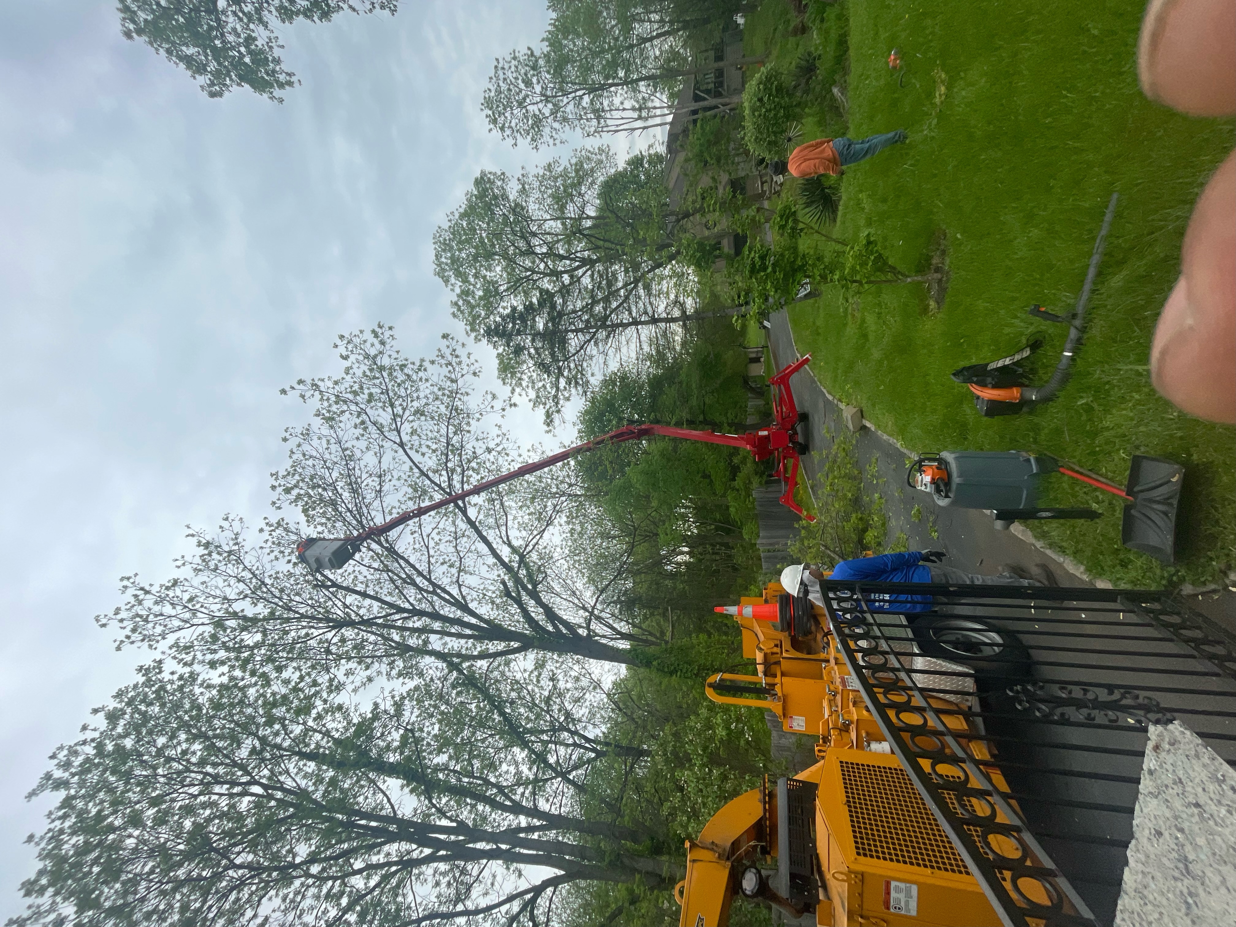 Yani Lawn Care Inc Image