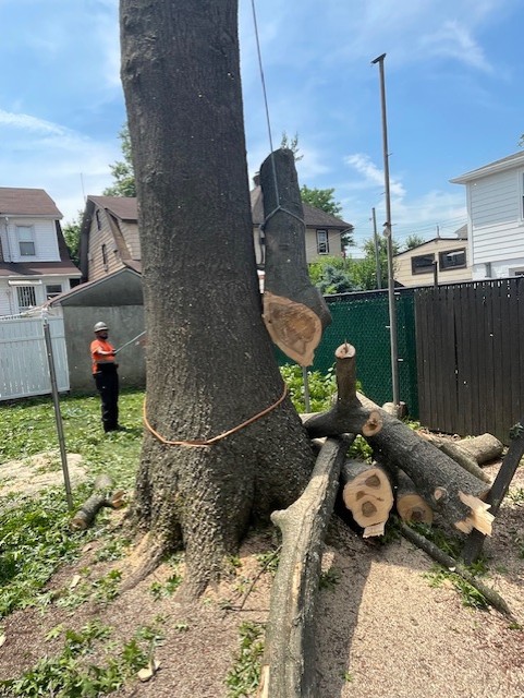 Yani Lawn Care Inc Image