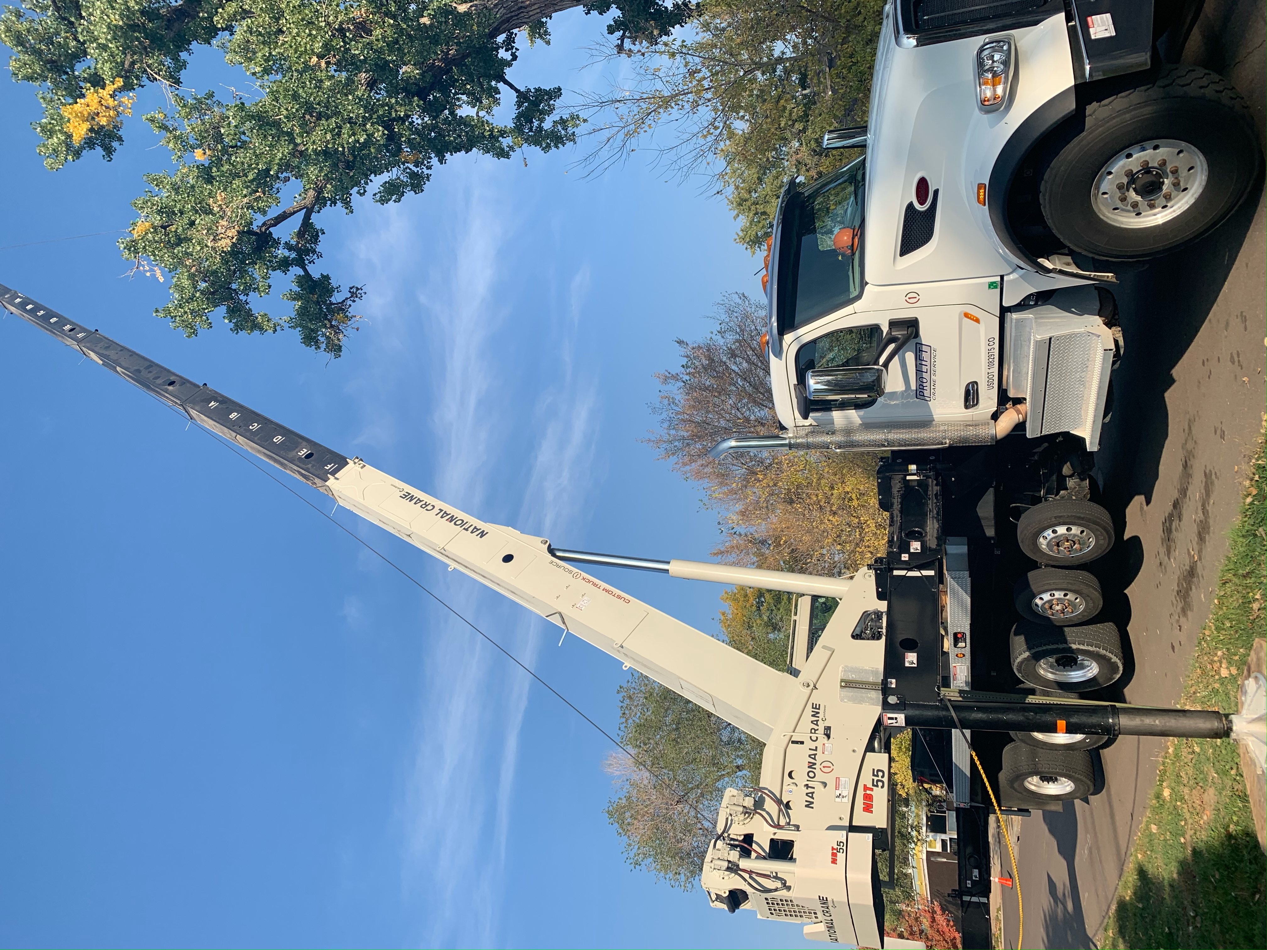 Scarlett Oaks Tree Care Image