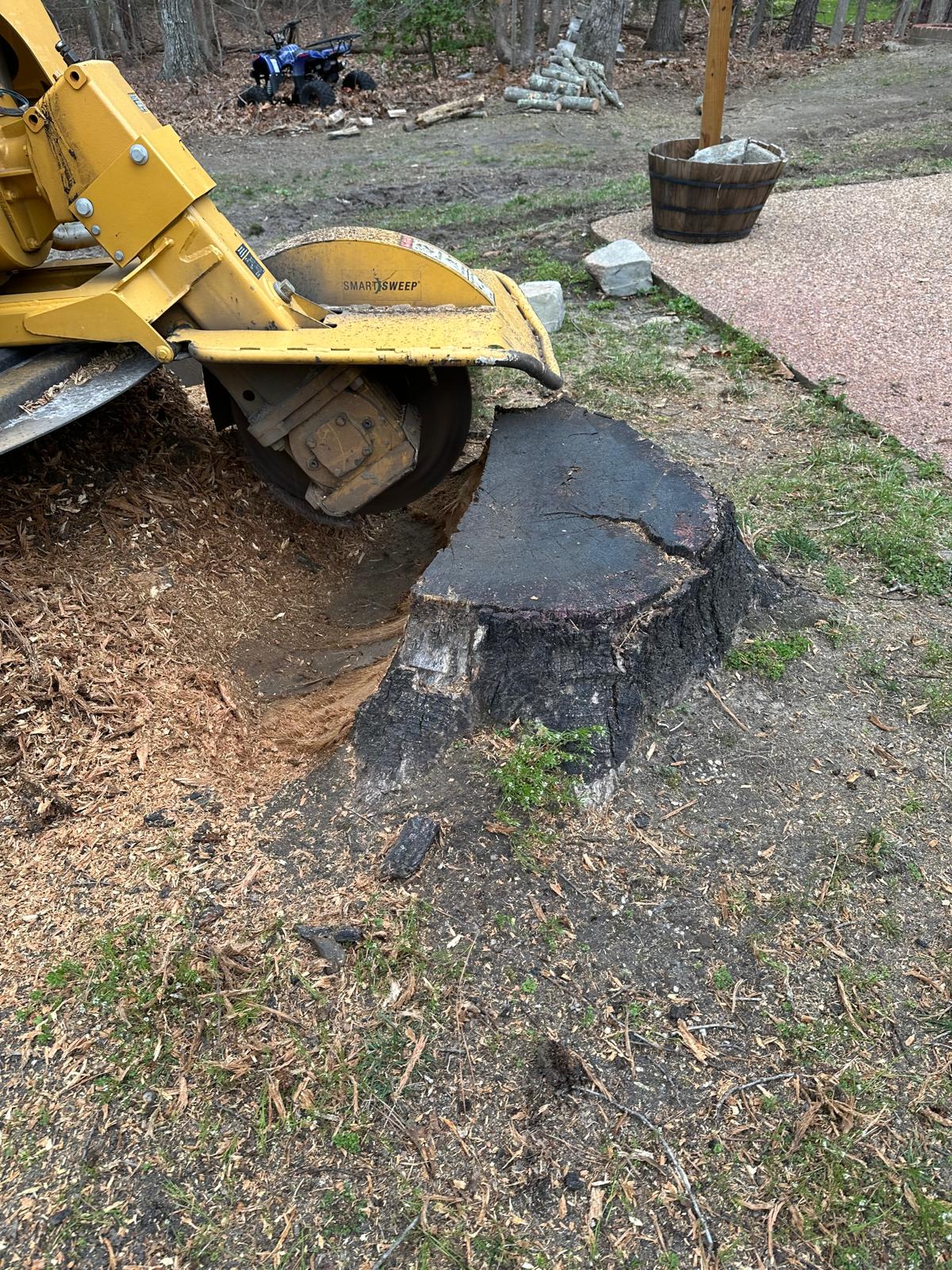 Garcia Stump Grinding - Stump Grinding - Richmond, VA 23234