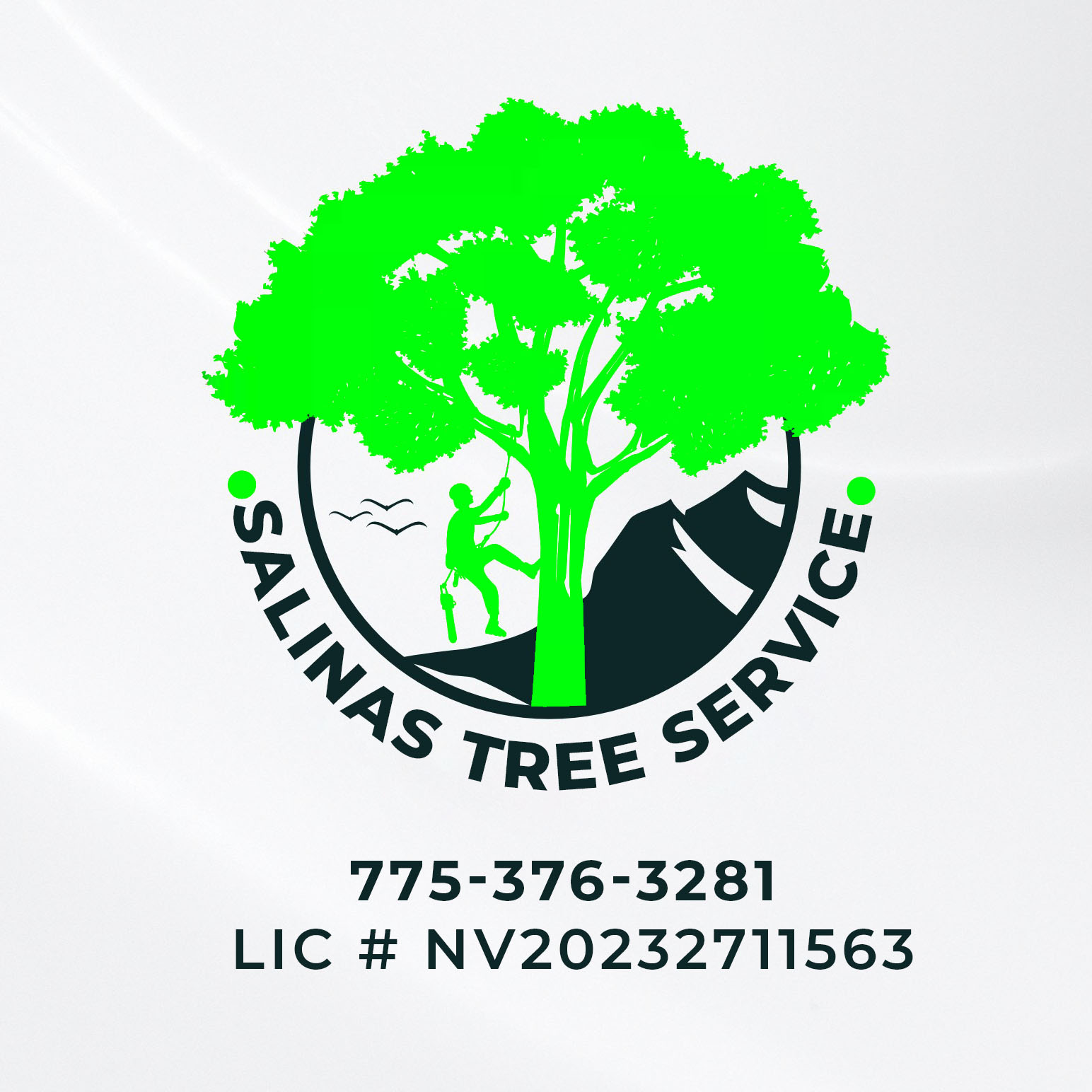 Salinas Tree Service Logo