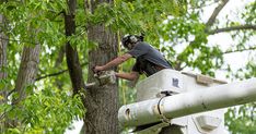 Olbin Construction Services LLC Image