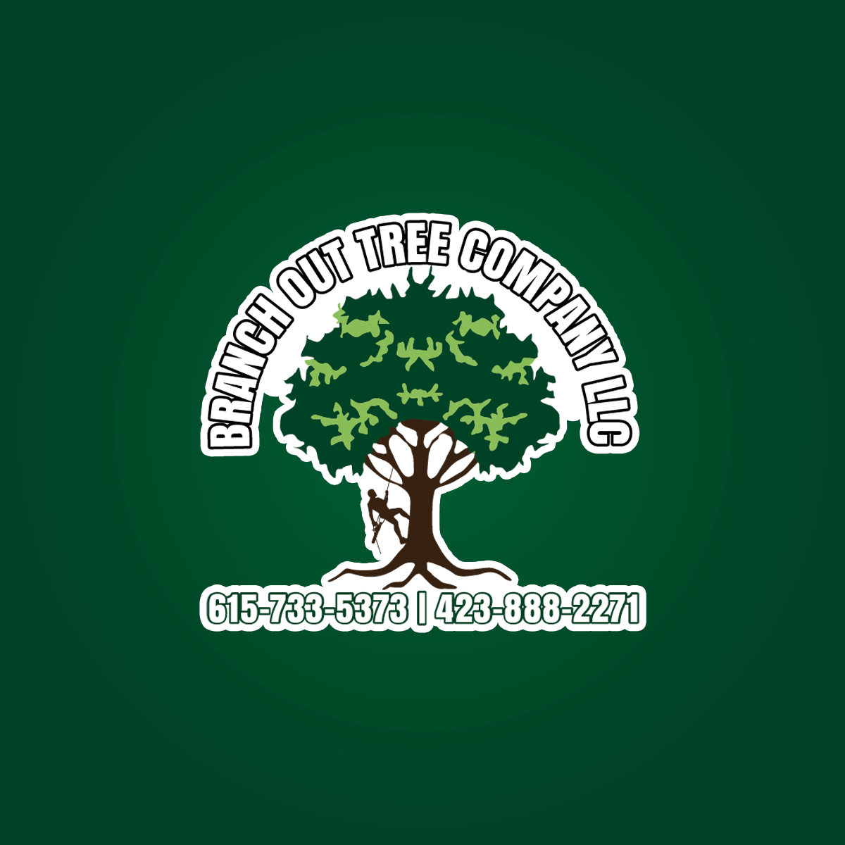 Branch Out Tree Company LLC Logo