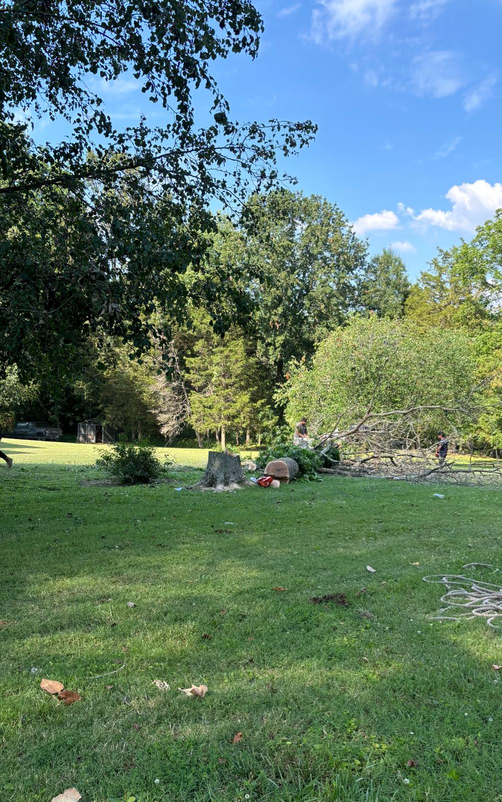 Branch Out Tree Company LLC Image