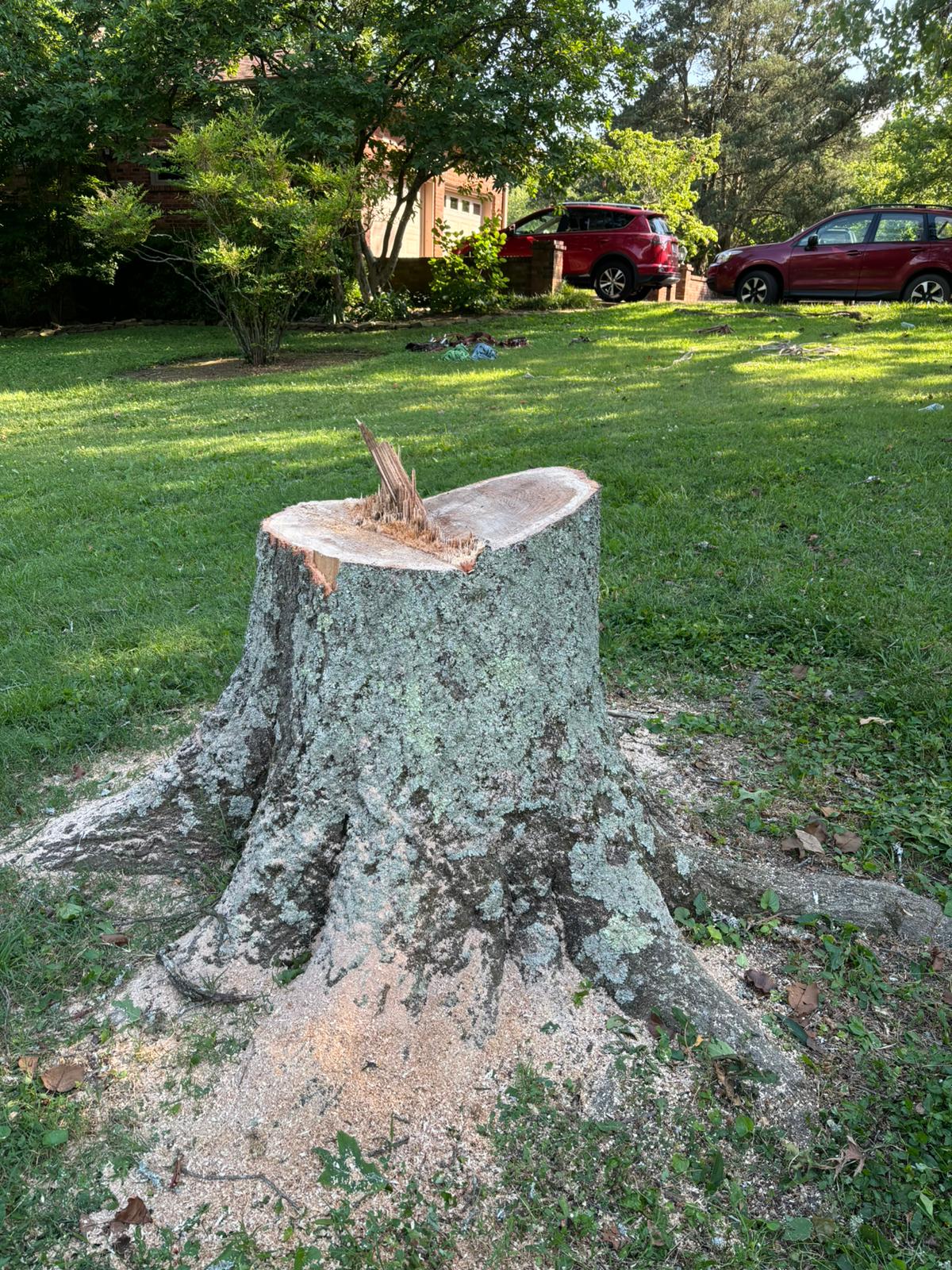Branch Out Tree Company LLC Image
