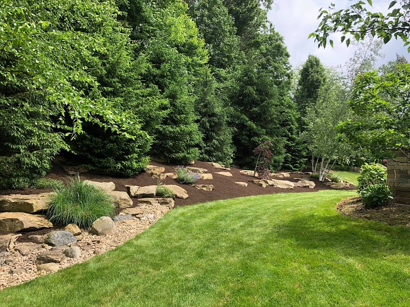 Going Yard Lawn & Landscape Image