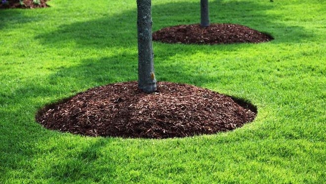 Leon Landscaping LLC Image