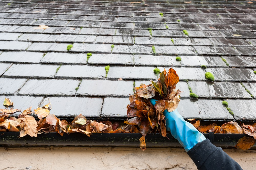 Leon Landscaping LLC Image