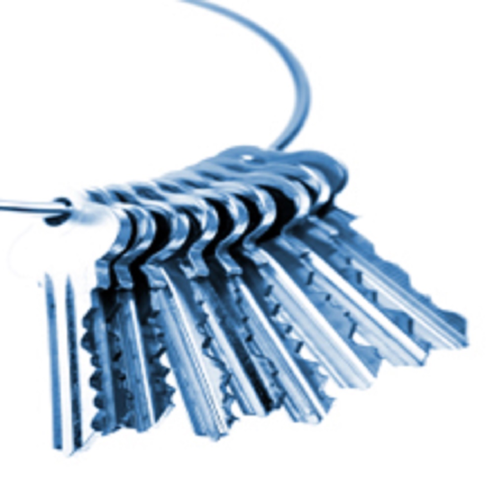 Mobile Auto Locksmith Image