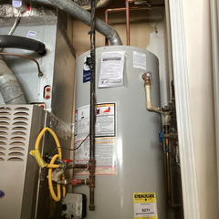 Dalmatian Plumbing Image