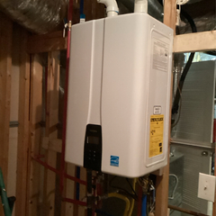 Dalmatian Plumbing Image