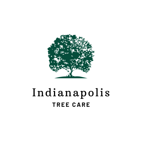 Indianapolis Tree Care Logo