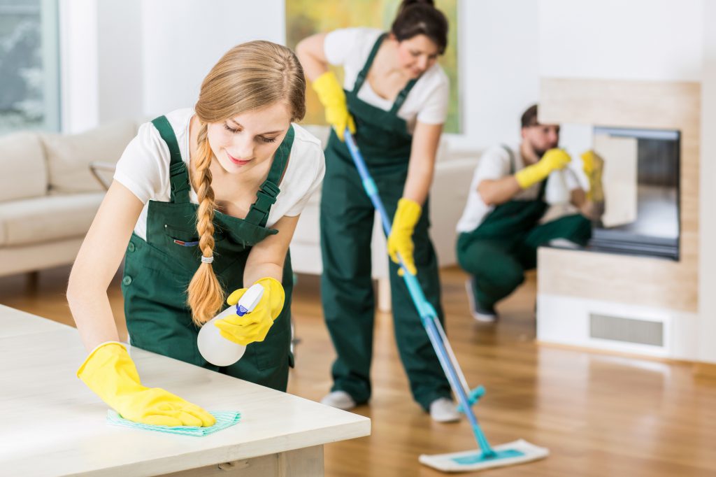 Maids From Brazil Image