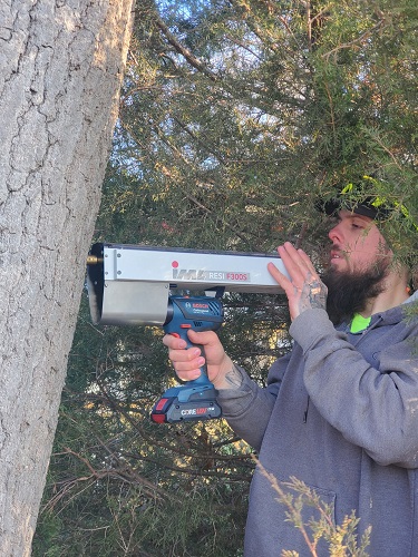 Ascension Tree Care Image