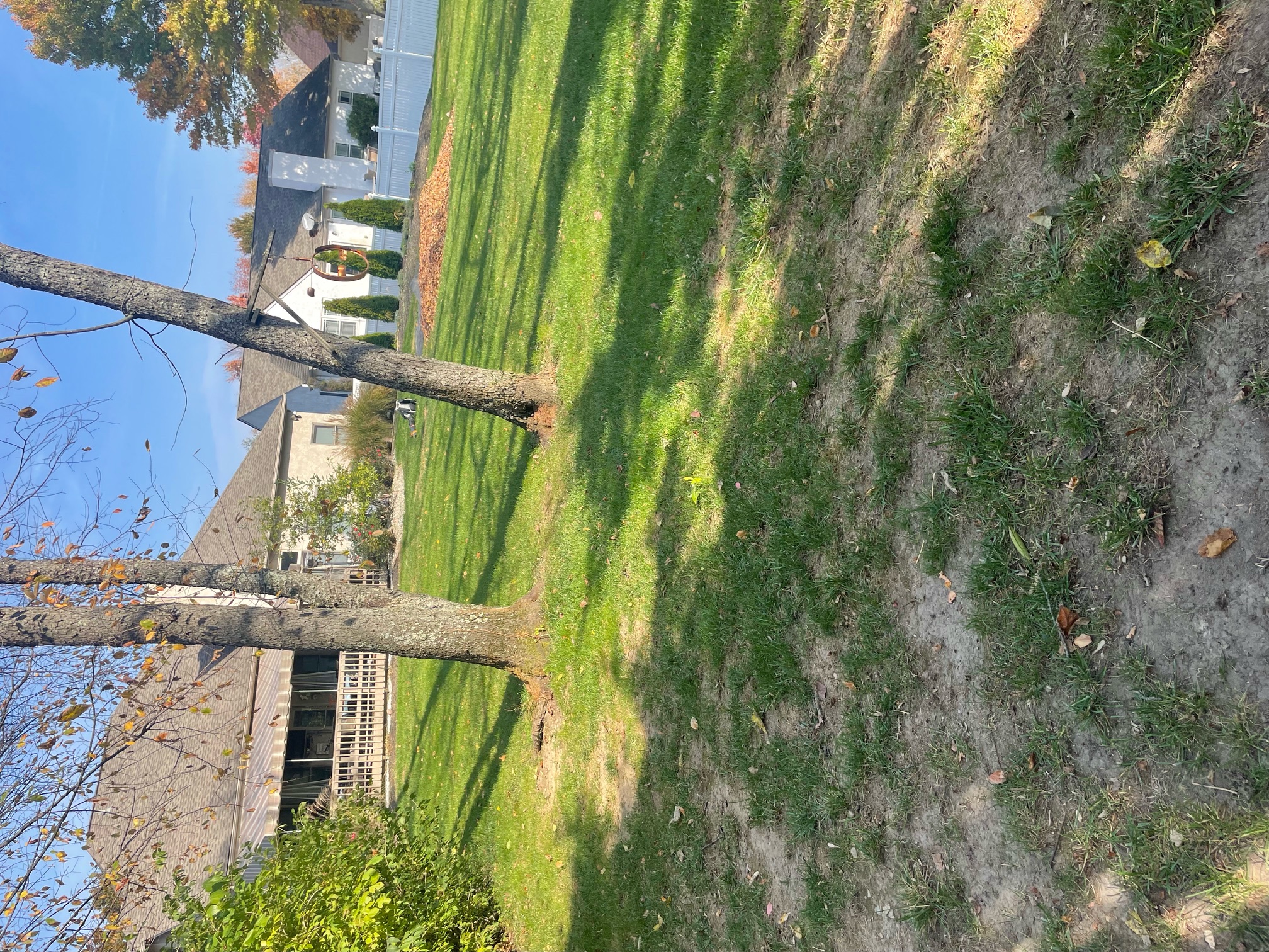 Tampa Landscaping Services LLC Image