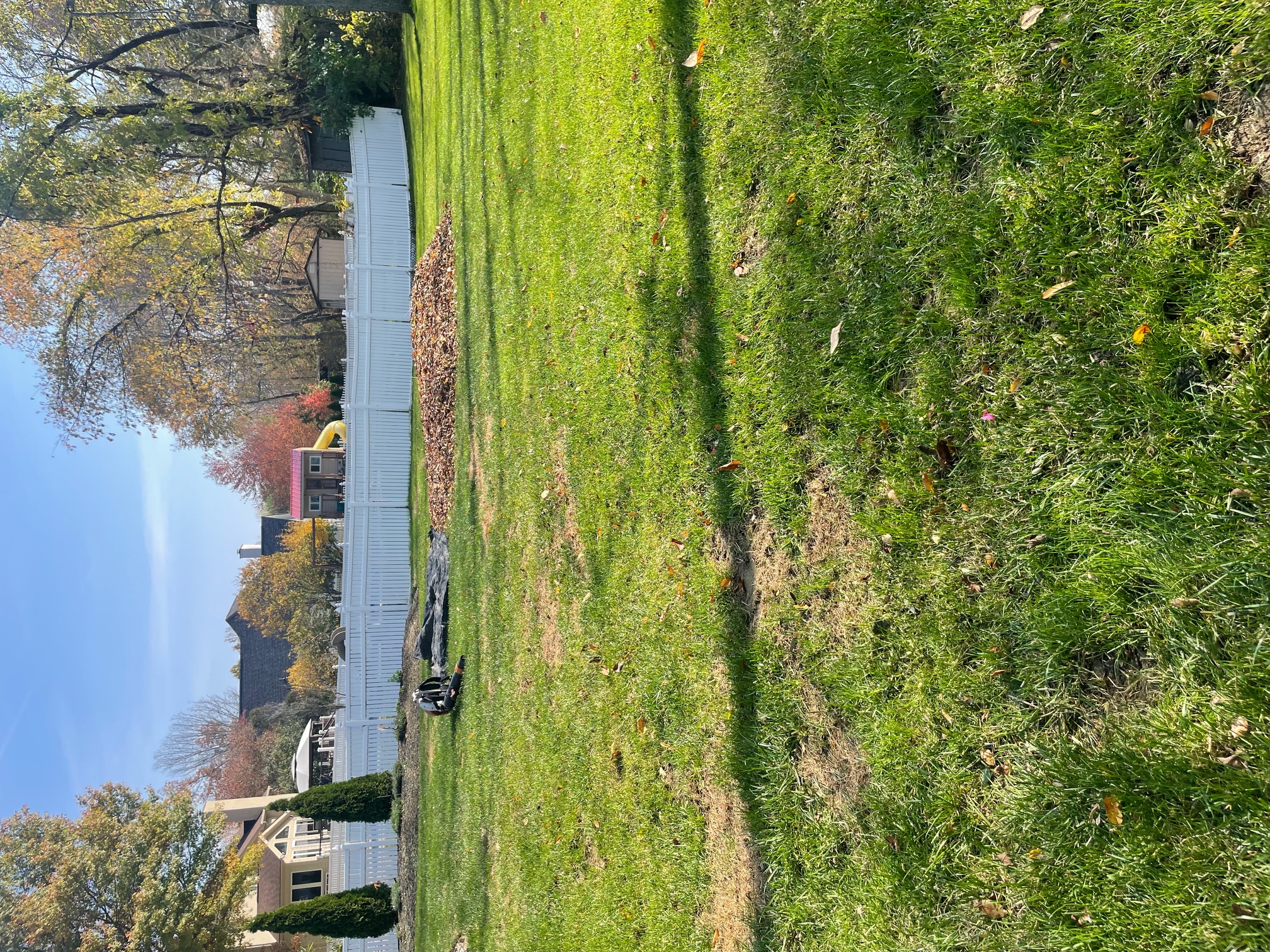 Tampa Landscaping Services LLC Image