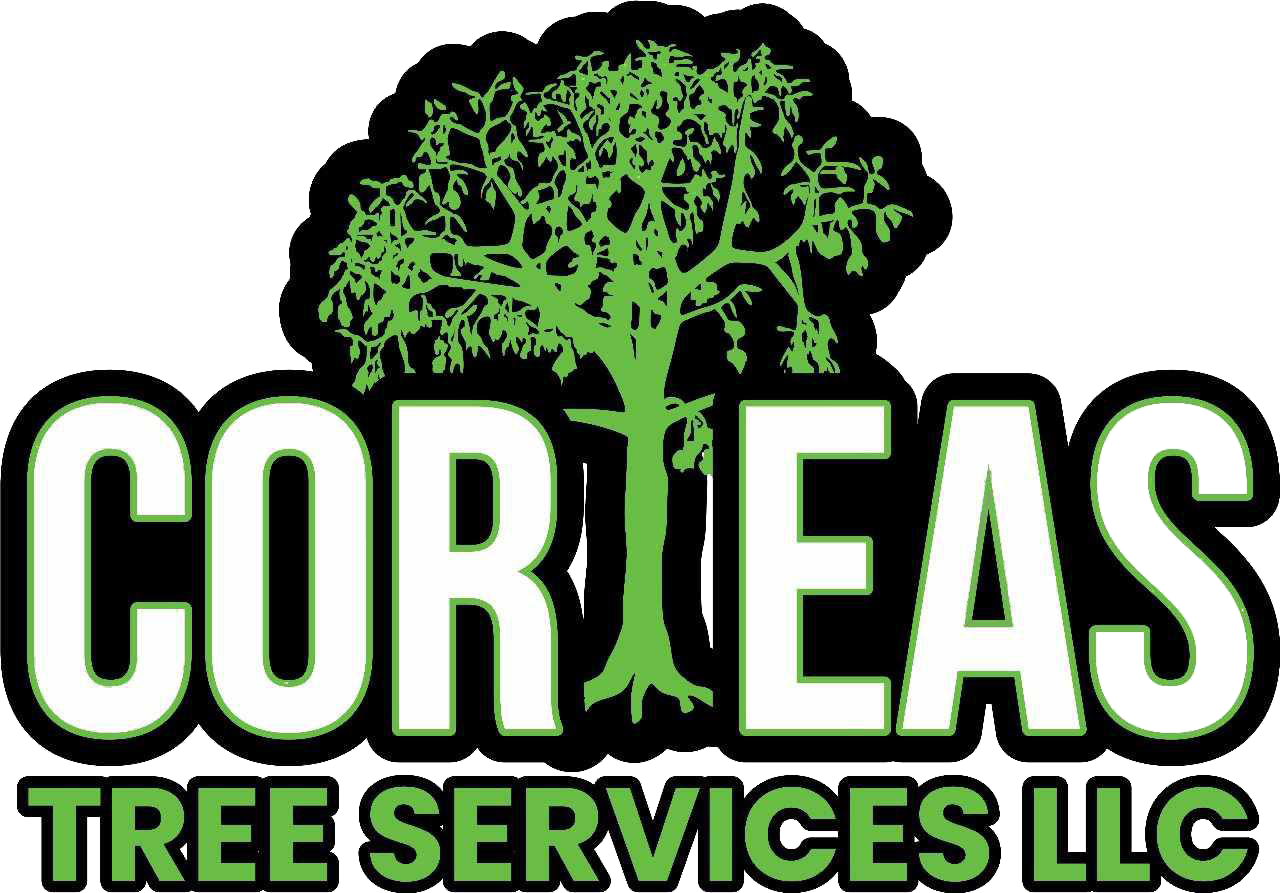Coreas Tree Services LLC Logo