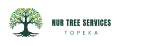 Nur Tree services Logo