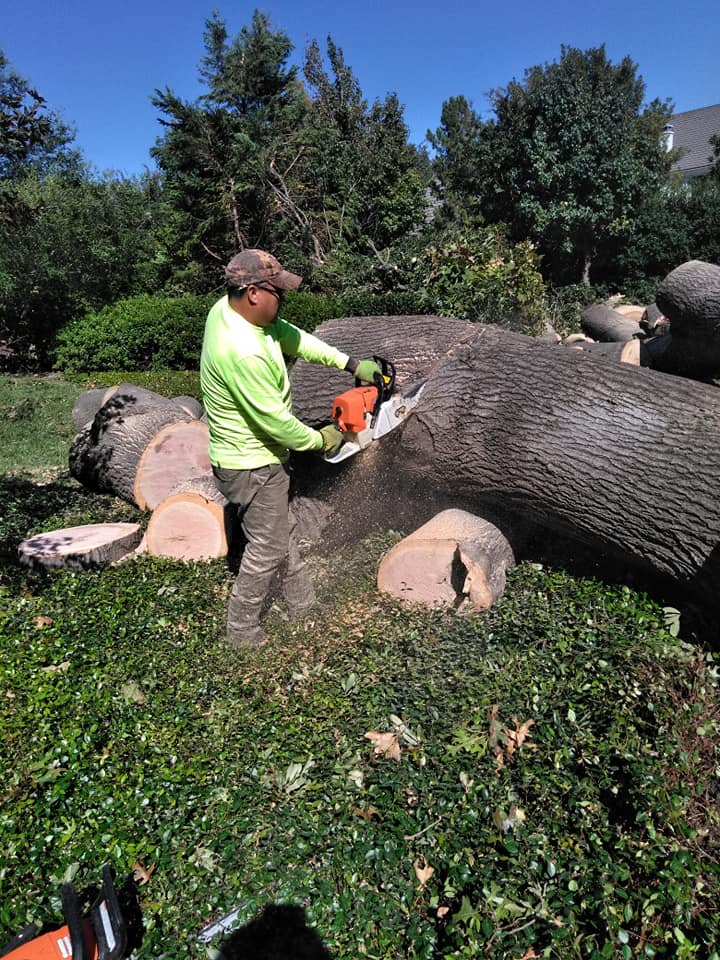 ARTURO TREE SERVICES Image