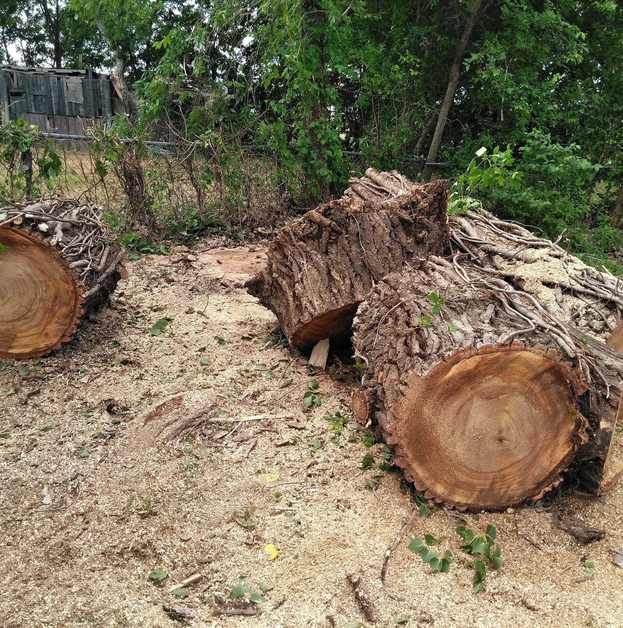 ARTURO TREE SERVICES Image