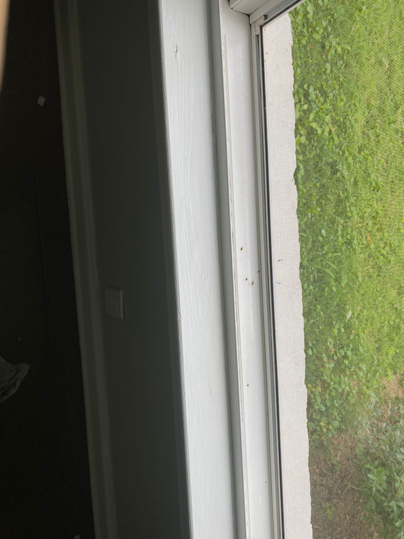 Kelly Cleaning Services Image