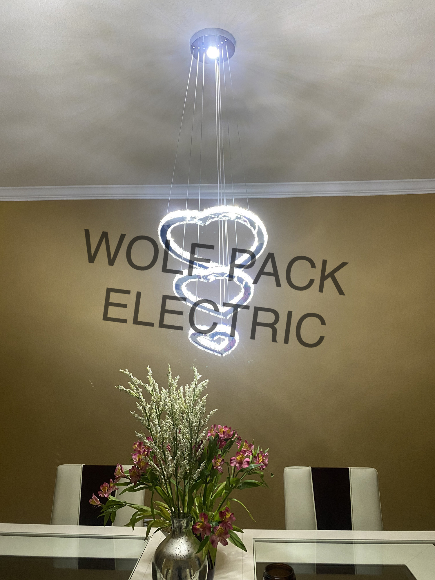 Wolf Pack Electrical Services Image
