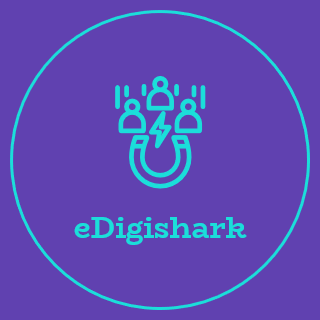 eDigishark Digital Marketing Agency Logo