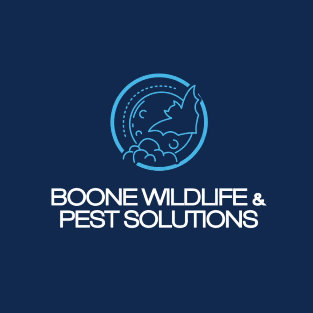 Boone Wildlife and Pest Solutions Logo