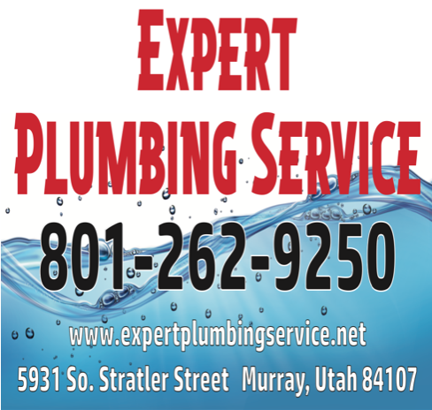 Expert Plumbing Service Icon