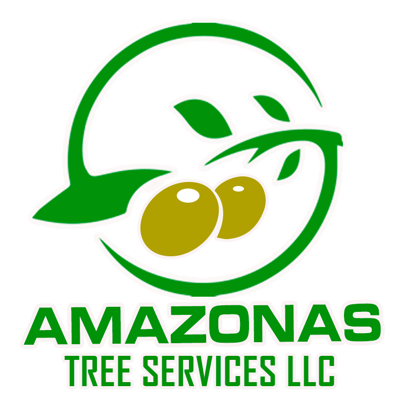 Amazonas Tree Services Logo