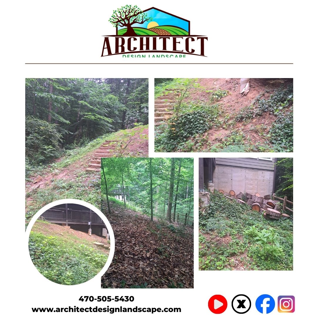 Architect Design Landscape Image