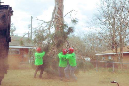 A Cajun Tree Cutters Image