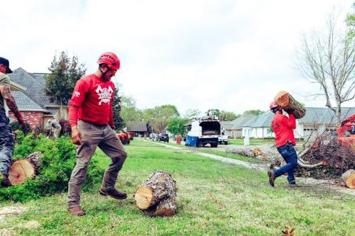 A Cajun Tree Cutters Image