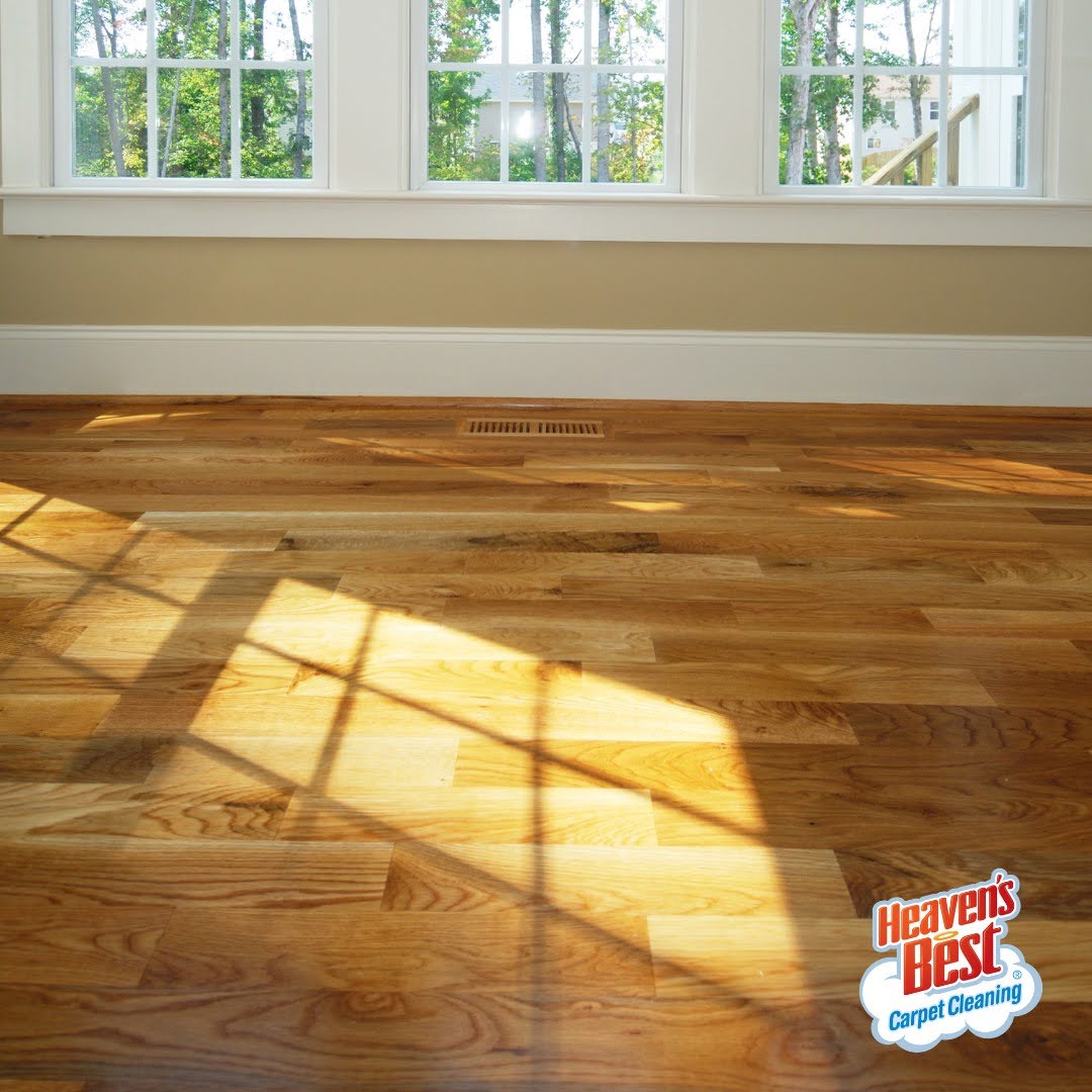 Heaven's Best Carpet Cleaning of Duluth Image