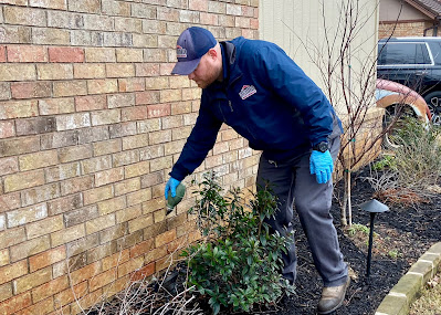 Alamo Termite & Pest Control Image