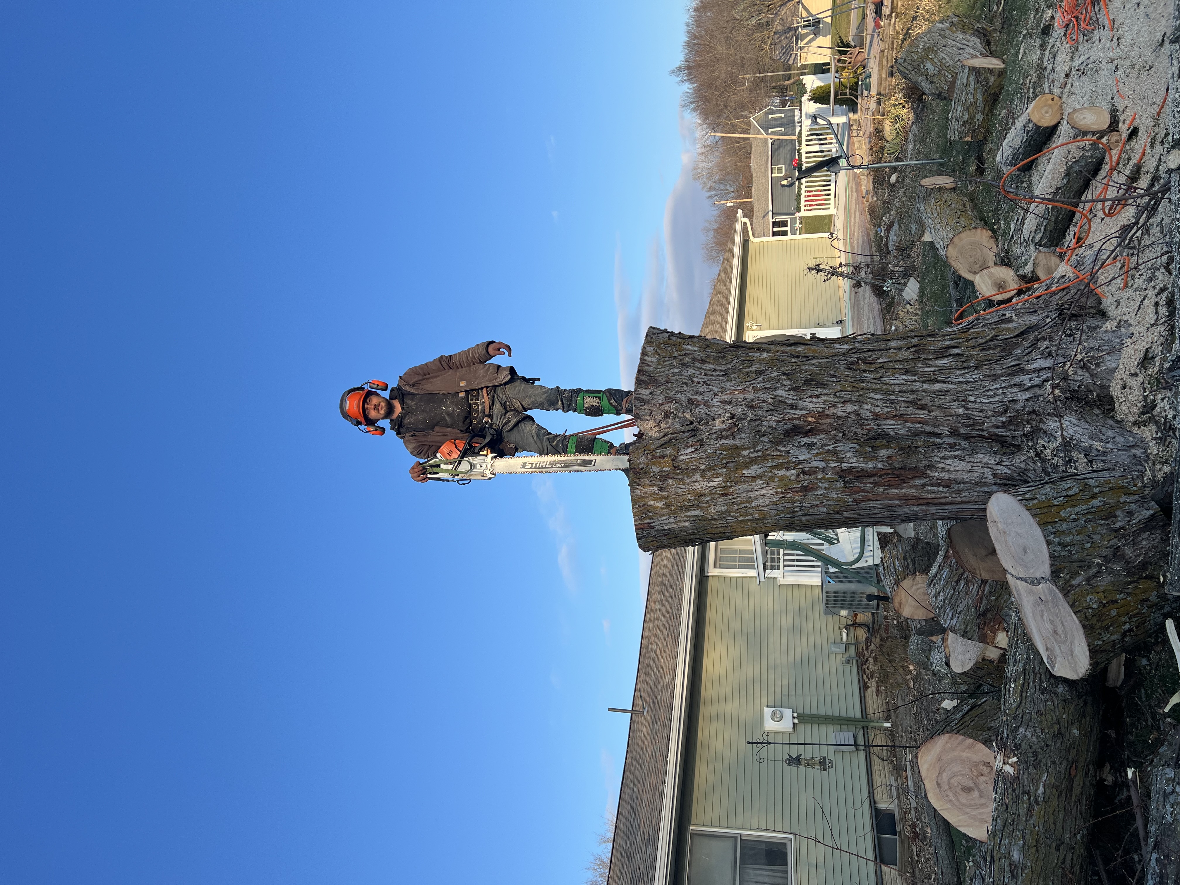 Trevor's Tree Service Image