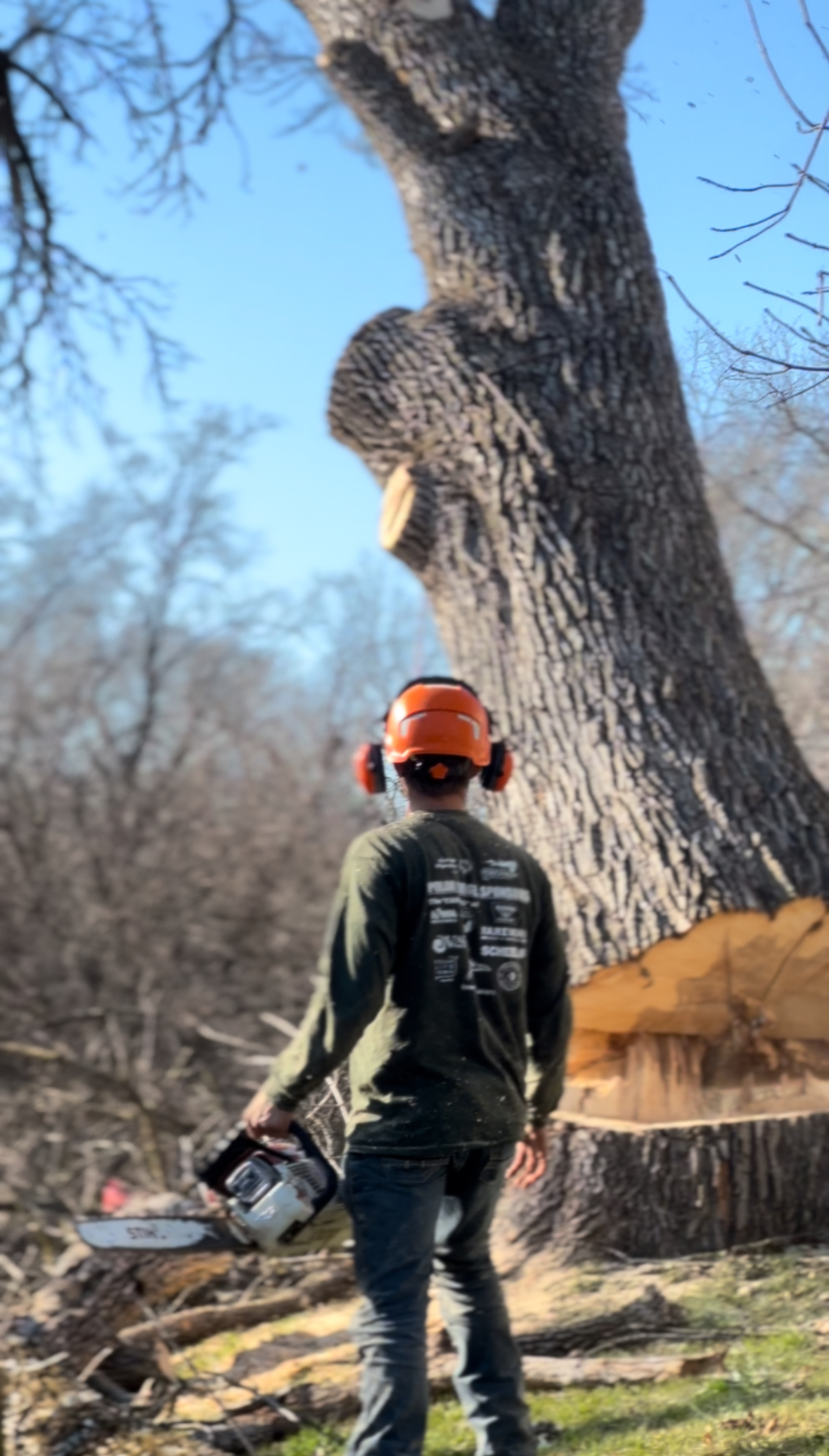 Trevor's Tree Service Image