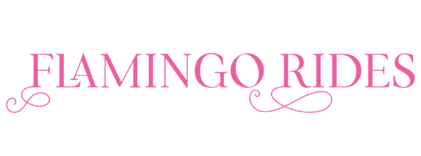 Flamingo Rides Image