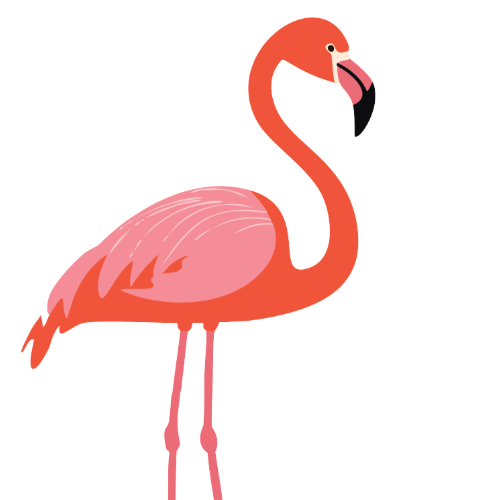 Flamingo Rides Image