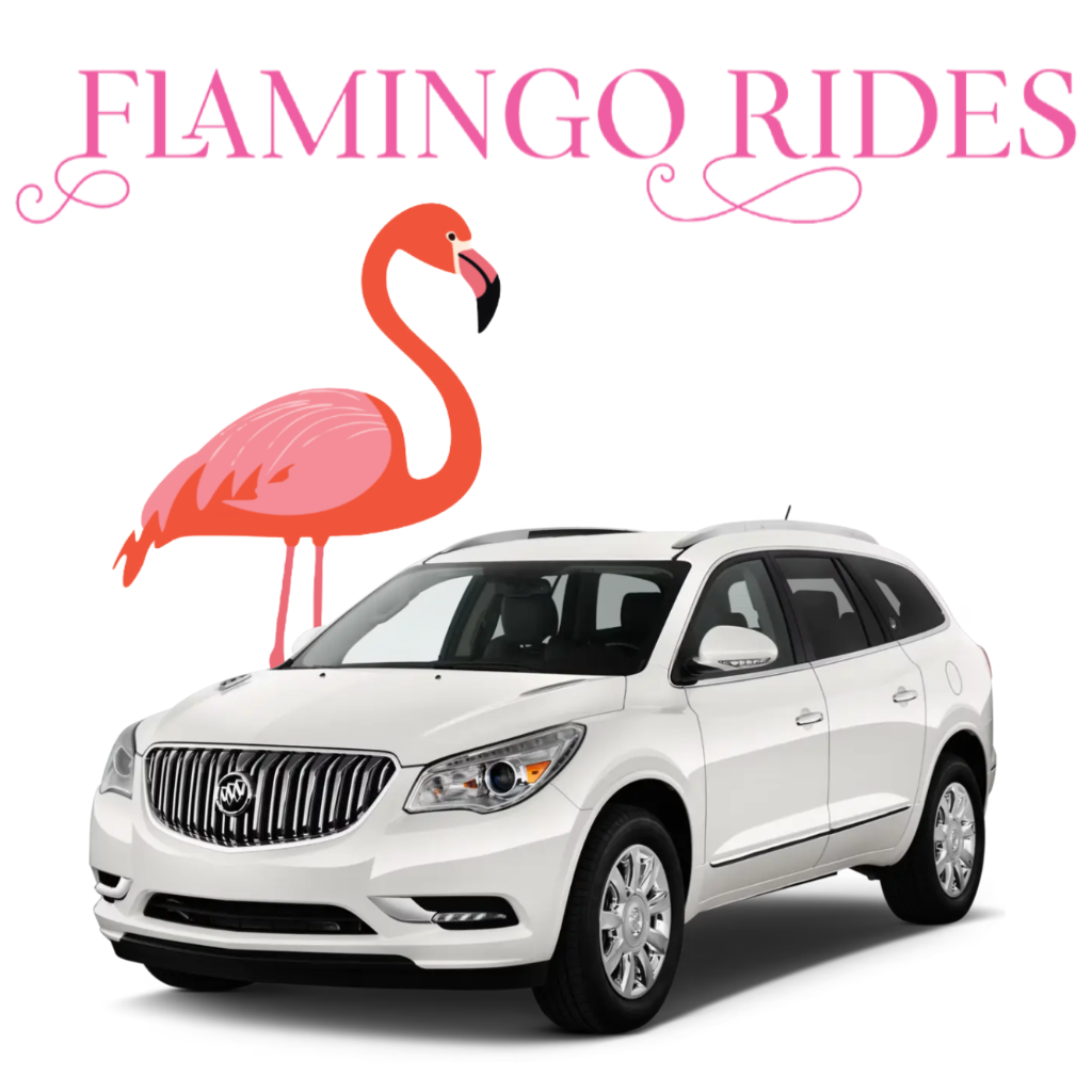 Flamingo Rides Logo