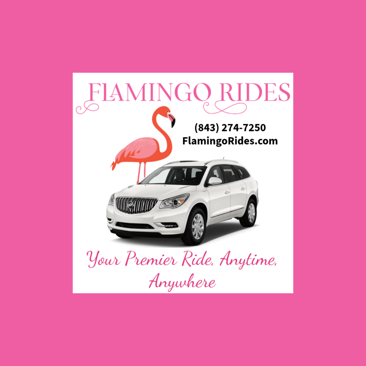 Flamingo Rides Image