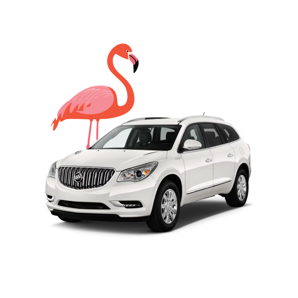 Flamingo Rides Image