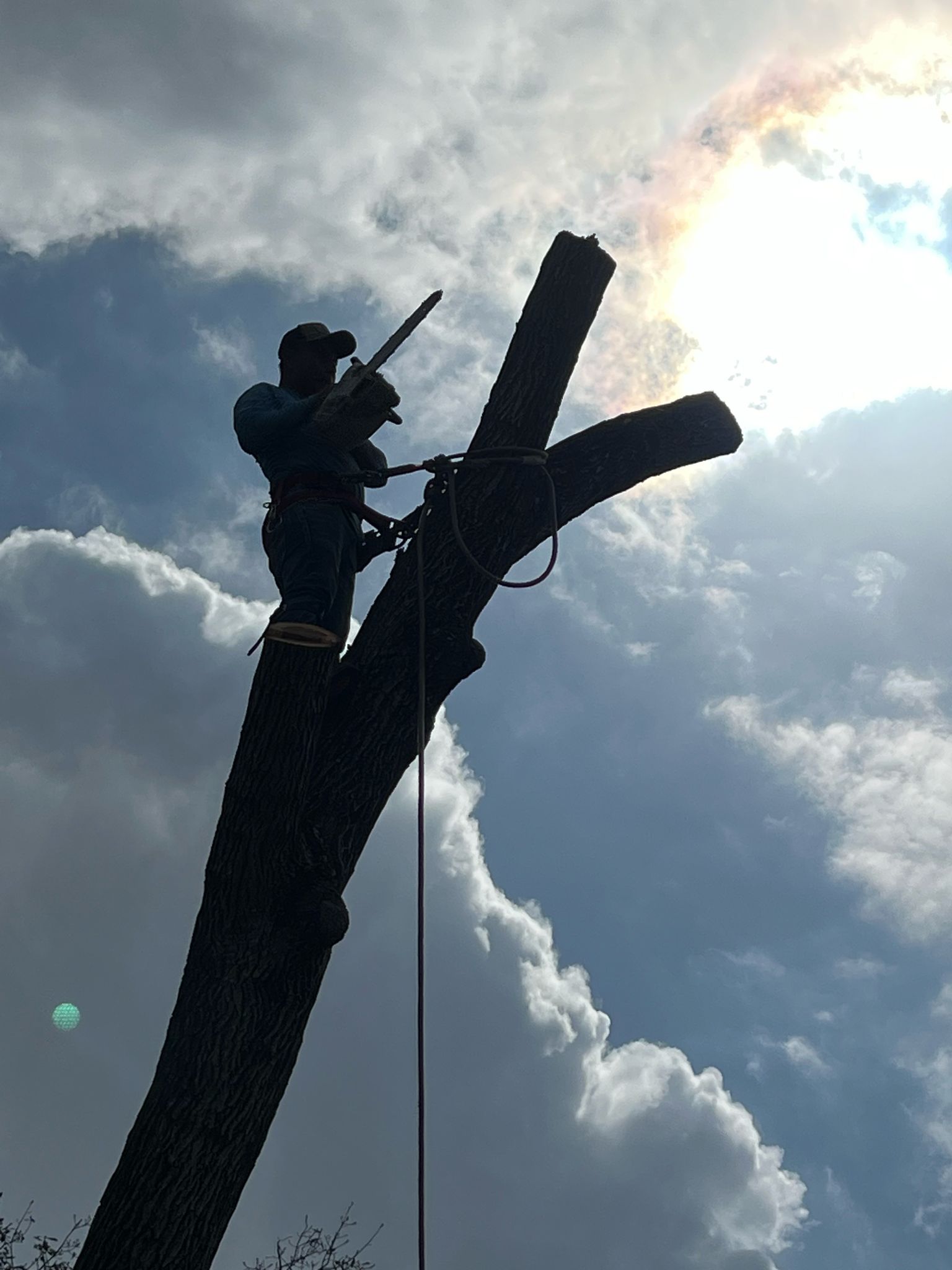 Gonzalez Landscape TX Image